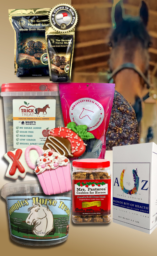 Best horse treats cookies and goodies